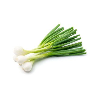 CEBOLLA TIERNA “BAIX LLOBREGAT”