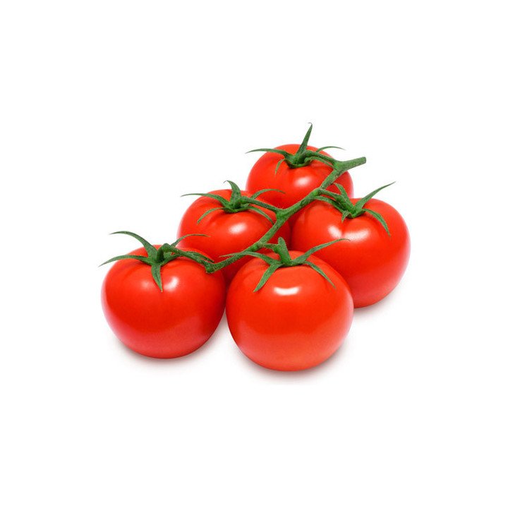 TOMATE RAMA