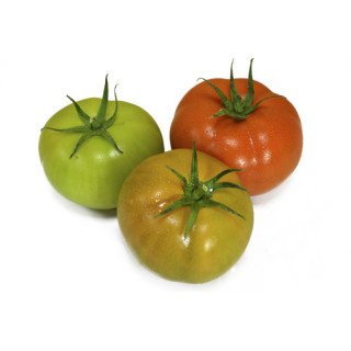 TOMATE VERDE
