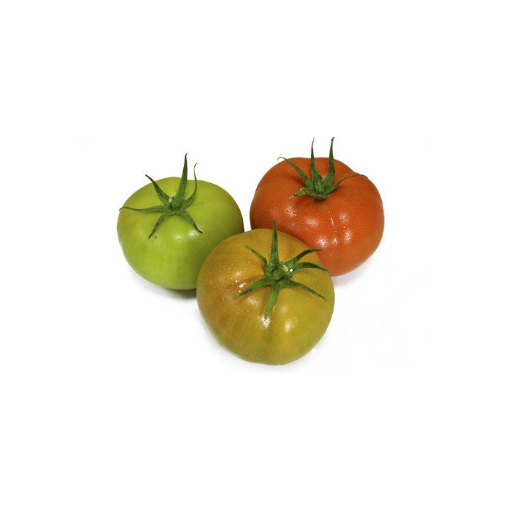 TOMATE VERDE