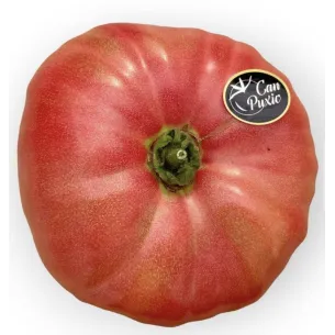 TOMATE ROSA EXTRA “CAN PUXIC”