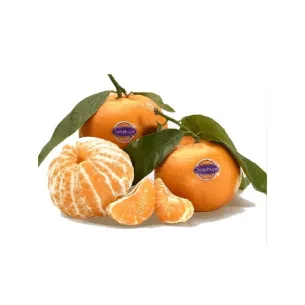 MANDARINA CLEMENTINA EXTRA "ESPECIAL 5 TENEDORES SANAHUJA”