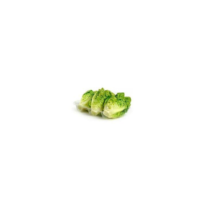 CORAZONES DE LECHUGA