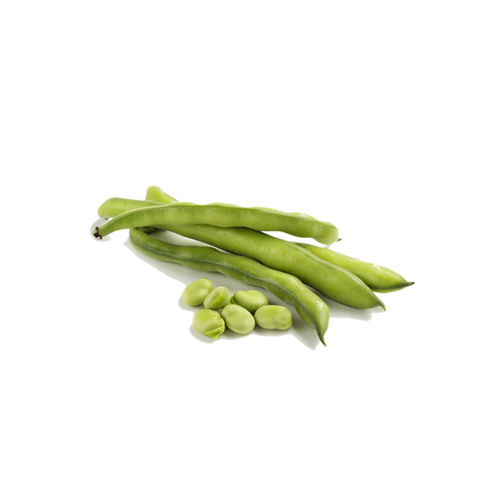 HABAS "CALDES DE MONTBUI"