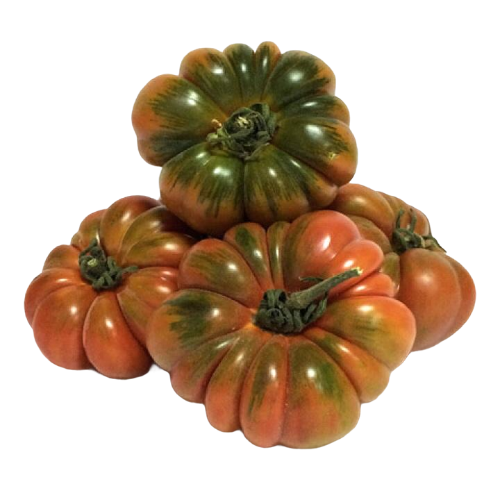 TOMATE RAF
