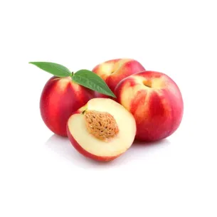 NECTARINA