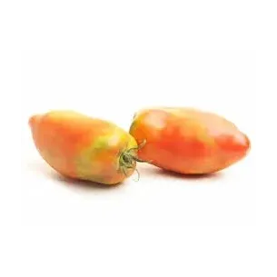 TOMATE PIMIENTERO "PEBROTER" “CAN PUXIC”