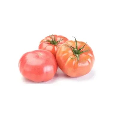 TOMATE ROSA DE BARBASTRO "ARAGÓN"