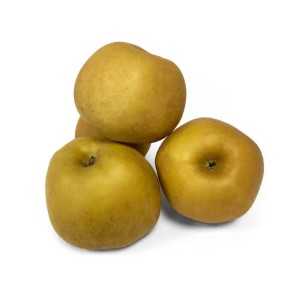 MANZANA REINETA