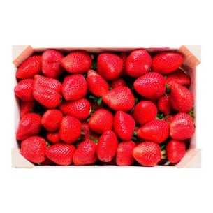 FRESAS "HUELVA" (CAJA 1 KG)