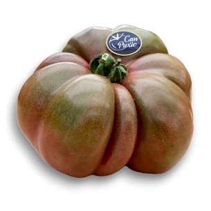 TOMATE DARK “CAN PUXIC”