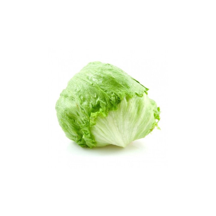 LECHUGA ICEBERG "ALMERÍA"