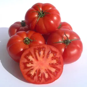 TOMATE GAZPACHERO