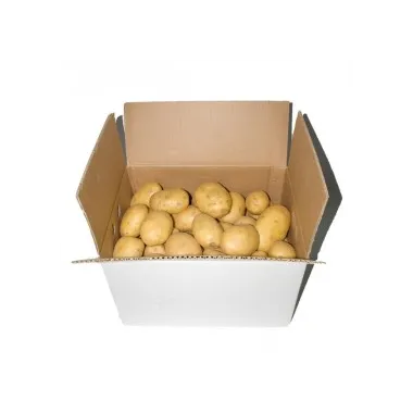 PATATA BLANCA EXTRA (CAJA 12,5 KG.) 5% DESCUENTO "CASTILLA Y LEÓN"