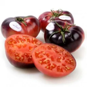 TOMATE MAR AZUL