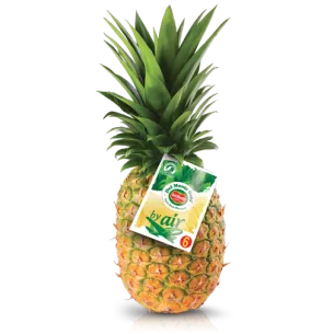 PIÑA EXTRA "DEL MONTE AVIÓN"