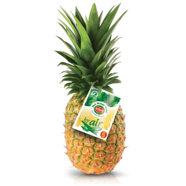 PIÑA EXTRA "DEL MONTE AVIÓN"