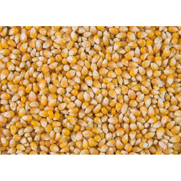 MAÍZ DE PALOMITAS