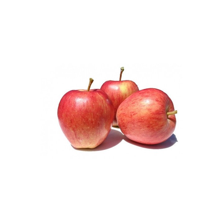 MANZANA ROYAL GALA “GIRONA”