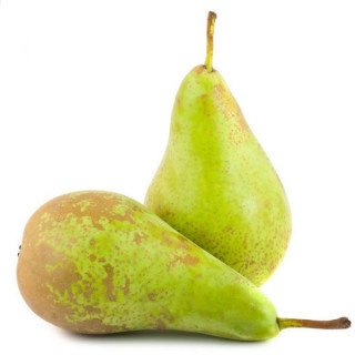 PERA CONFERENCIA "LLEIDA"