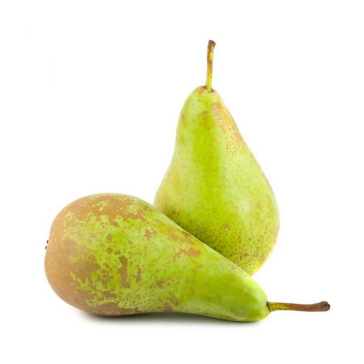 PERA CONFERENCIA "LLEIDA"