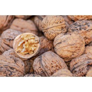 NUECES CON CÁSCARA D.O. PALAU (LLEIDA)