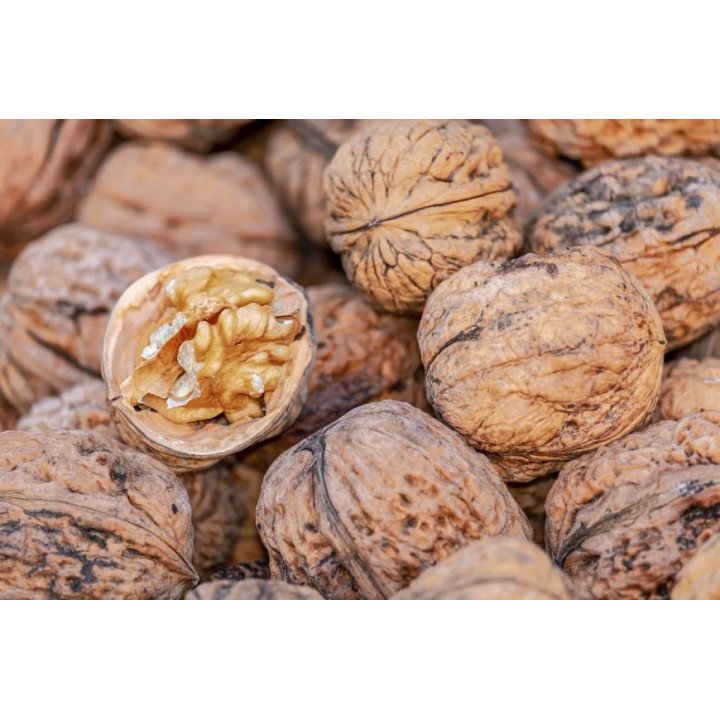 NUECES CON CÁSCARA D.O. PALAU (LLEIDA)