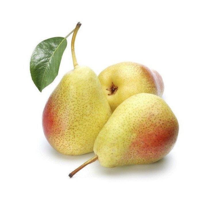 PERA ERCOLINA