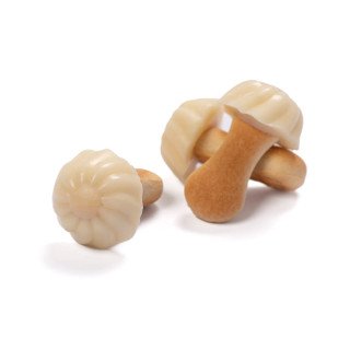 GALLETA CON CHOCOLATE BLANCO (SETAS)
