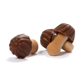 GALLETA CON CHOCOLATE CON LECHE Y CARAMELO (SETAS)