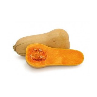CALABAZA VIOLÍN (MEDIA PIEZA) “LLEIDA”