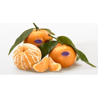 Mandarina clementina extra "sanahuja”
