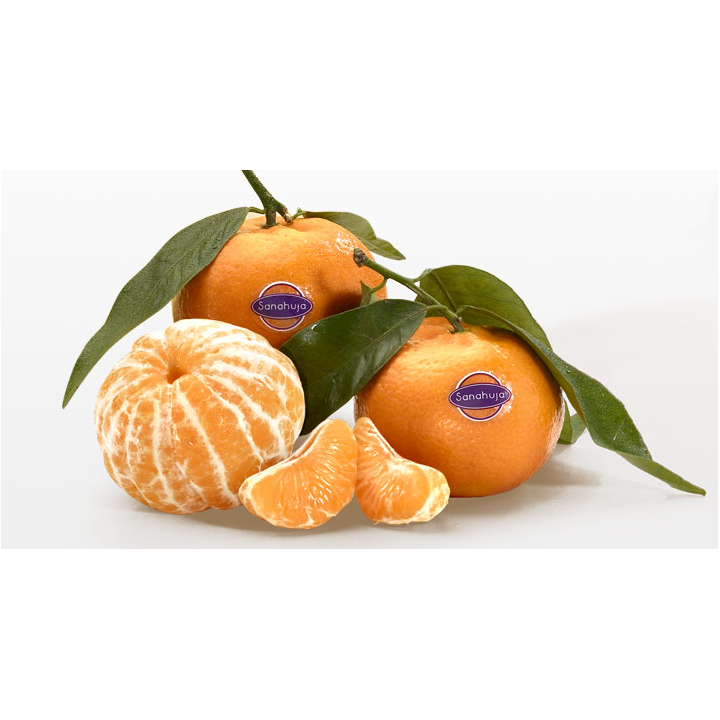 Mandarina clementina extra "torres”