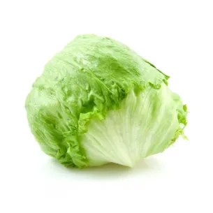 LECHUGA ICEBERG "ALMERÍA"