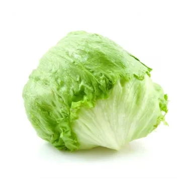 LECHUGA ICEBERG "ALMERÍA"