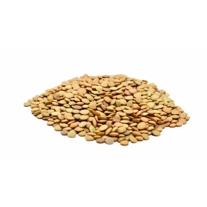 LENTEJA SECA CASTELLANA