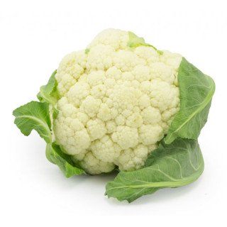 COLIFLOR “TARRAGONA”