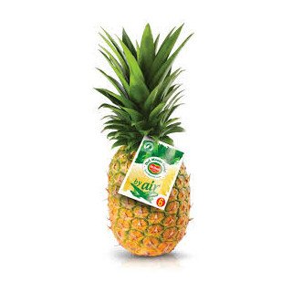 PIÑA EXTRA "DEL MONTE AVIÓN"