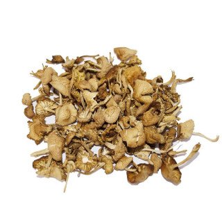 SETAS MOIXERNÓ DESHIDRATADO (25 GR.)