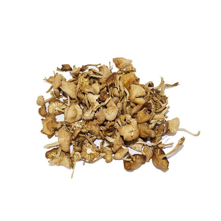 SETAS MOIXERNÓ DESHIDRATADO (25 GR.)