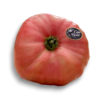TOMATE ROSA EXTRA “CAN PUXIC”