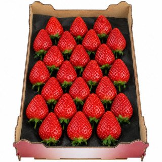 FRESAS "HUELVA" (CAJA 1 KG)