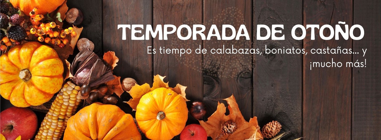 Banner Fruits Sentmenat